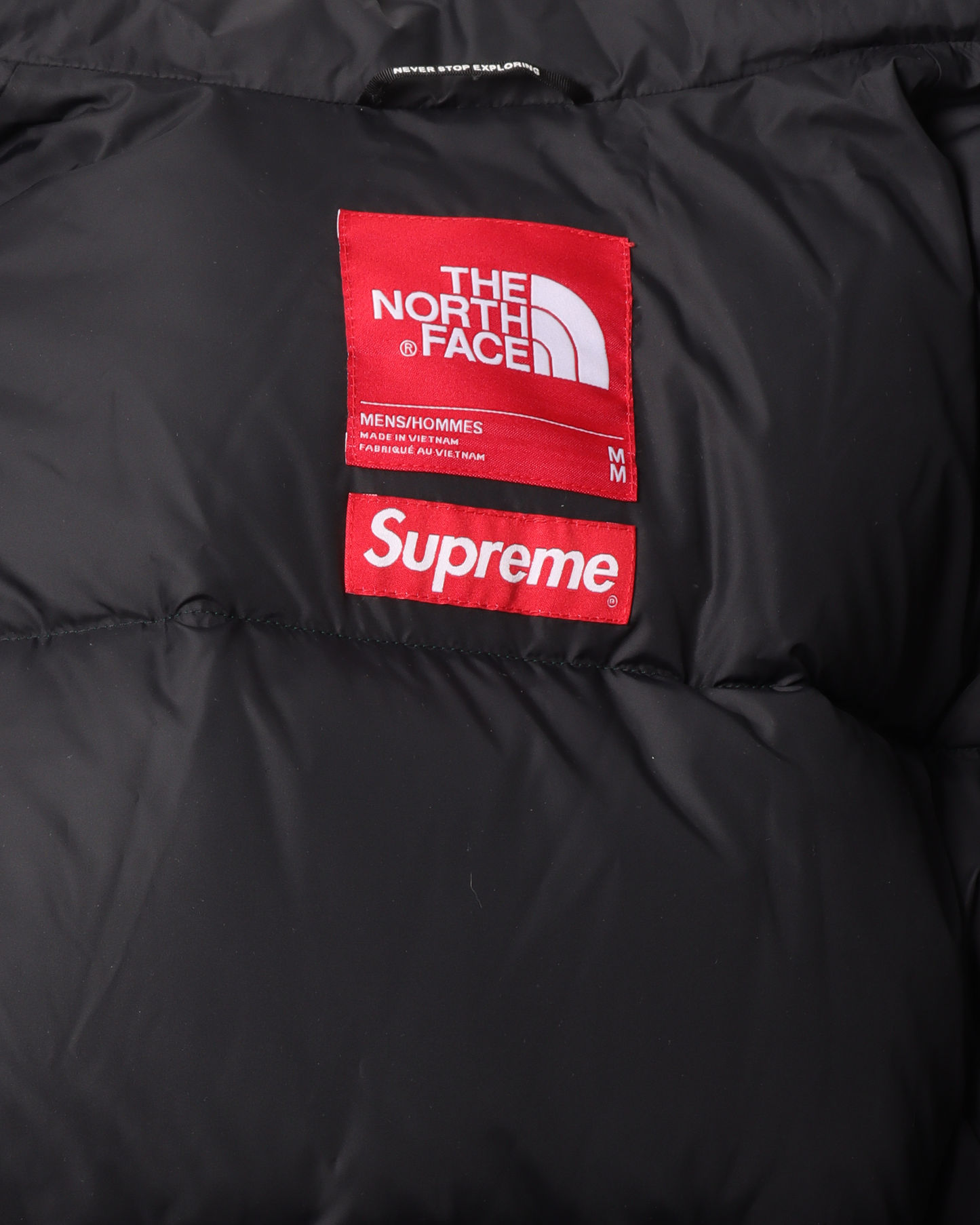 The North Face Fur Jacket
