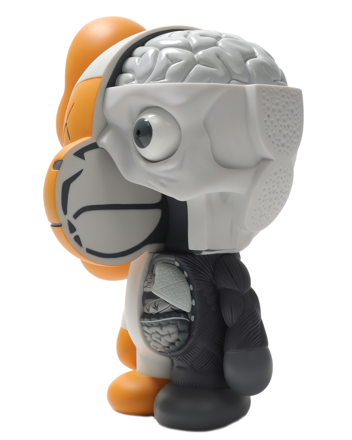 Dissected Milo Companion (2011)