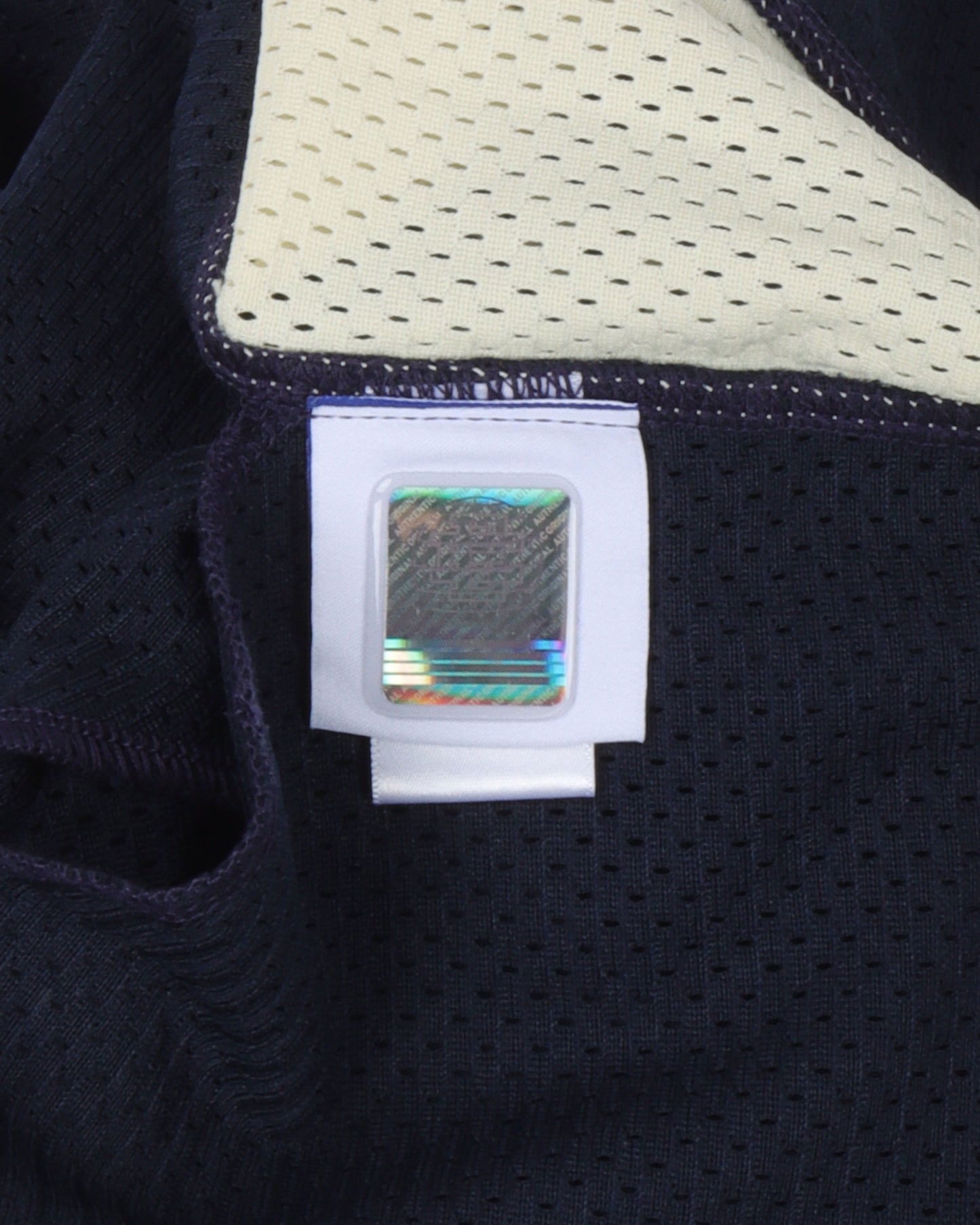 Side Strip Gym Shorts