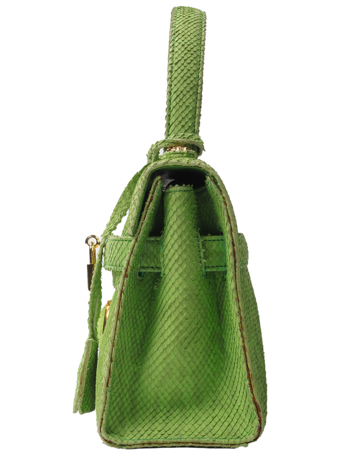 Green Snake Bag
