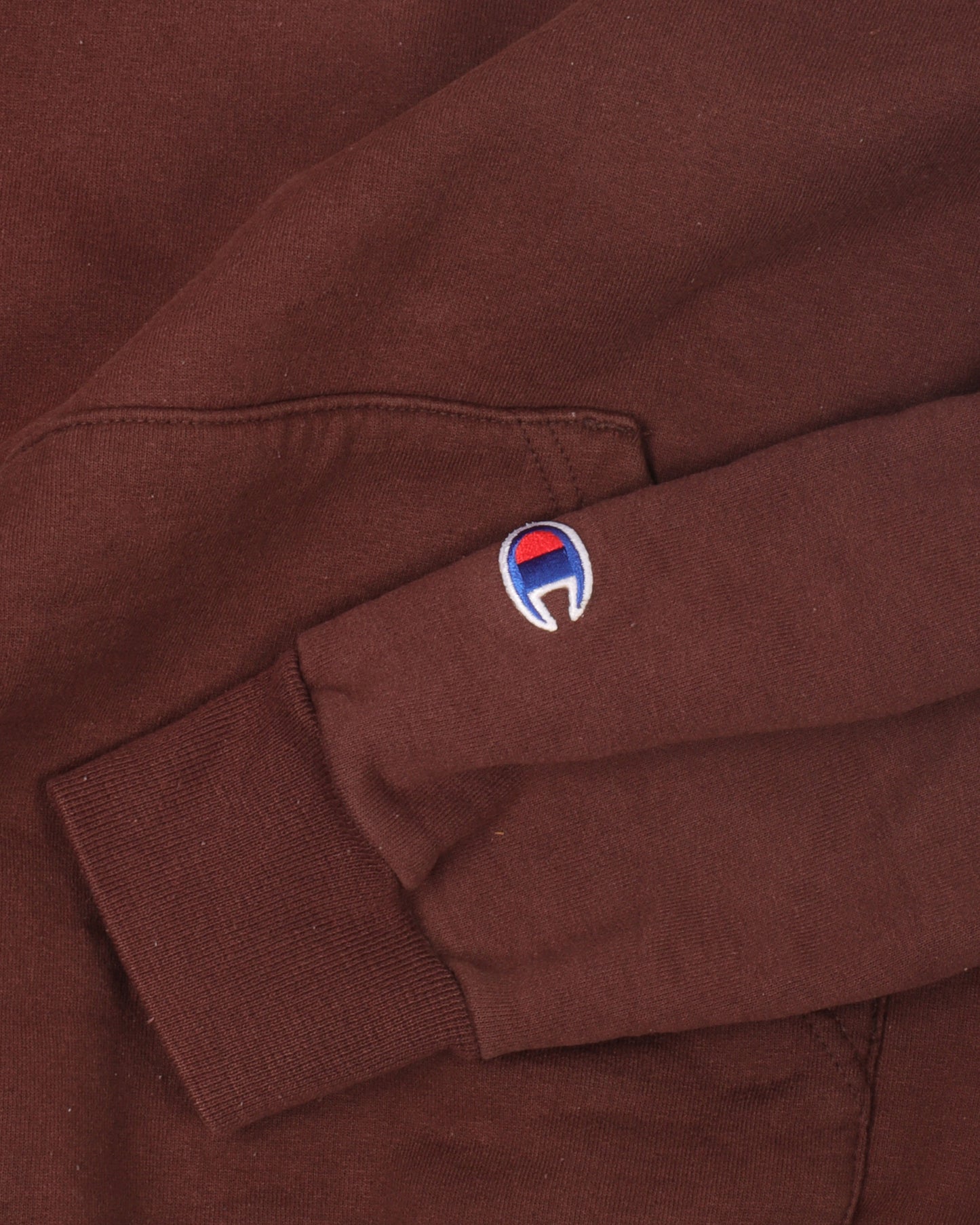 Champion Wisconsin Hoodie