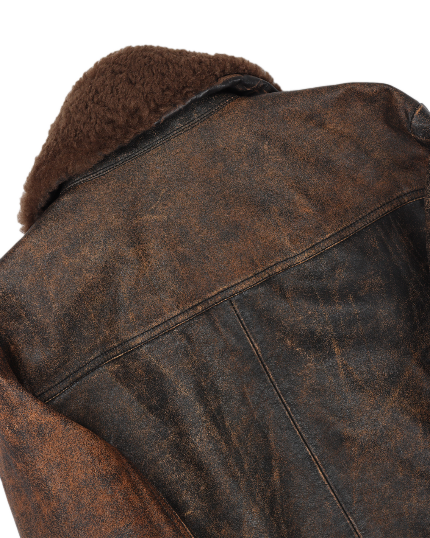 Shearling Leather Bomber Jacket (2017)