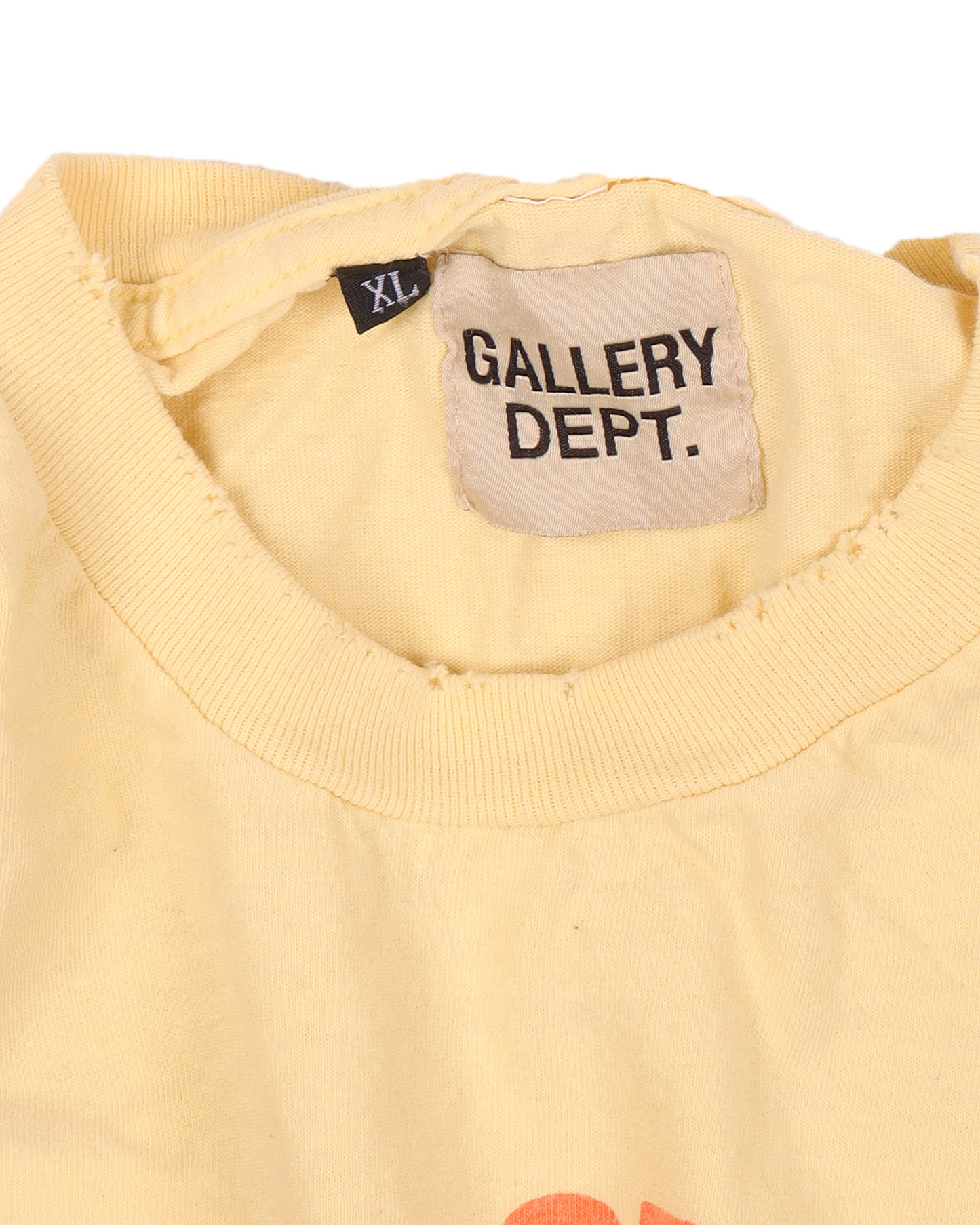 "Palm Springs" T-Shirt