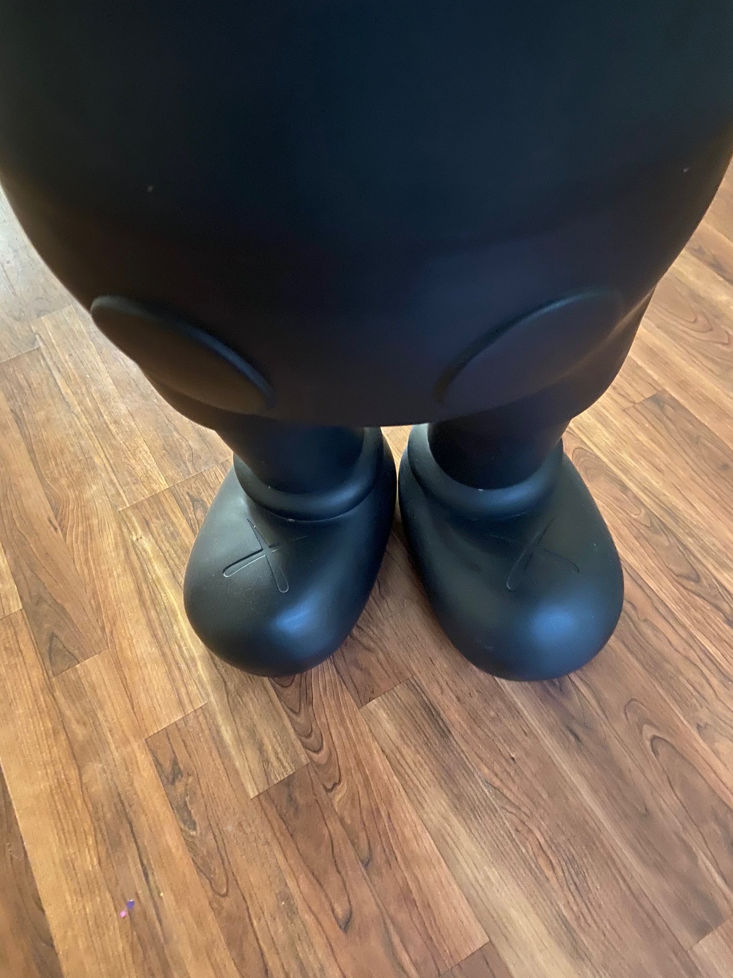 4 Foot Companion (Black)