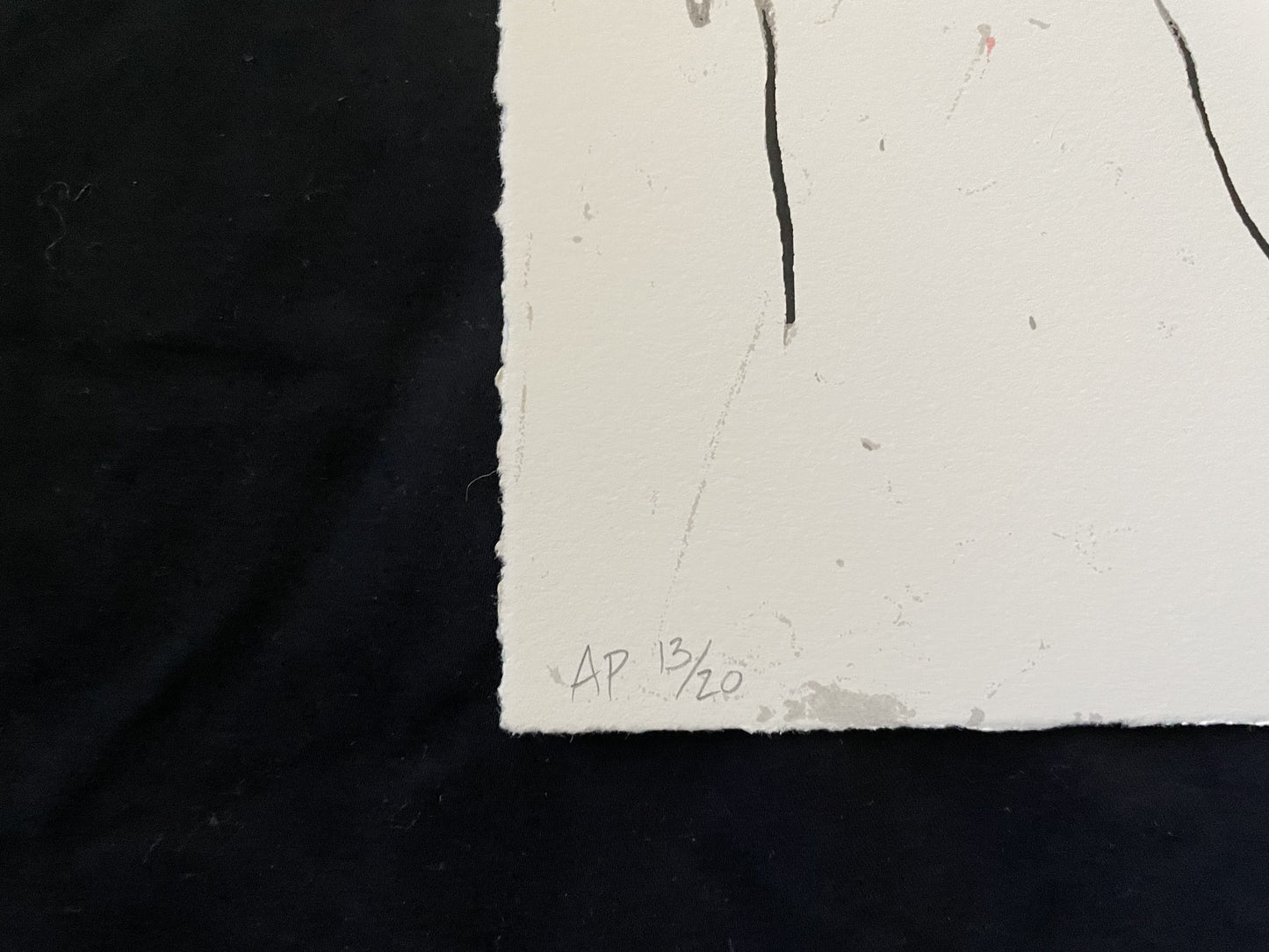 Portfolio of Wolf Sausage, King Brand, Dog Leg Study and Undiscovered Genius (2019)