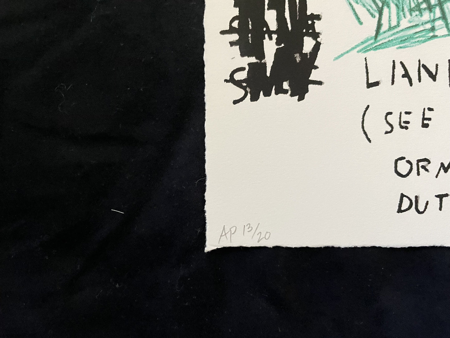 Portfolio of Wolf Sausage, King Brand, Dog Leg Study and Undiscovered Genius (2019)