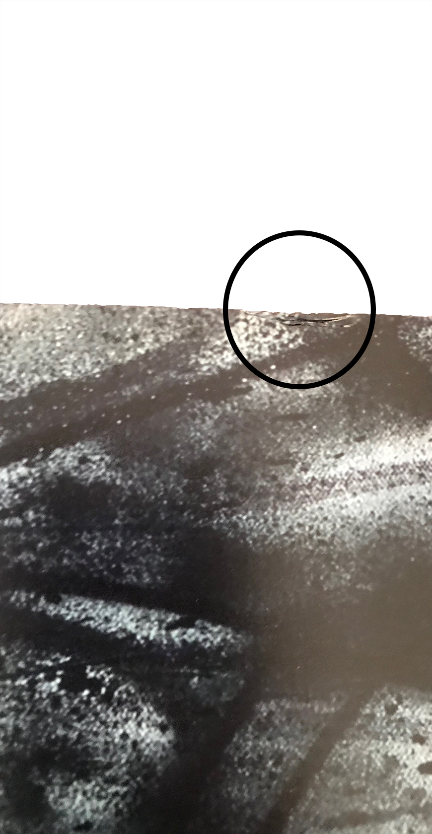 Mona Lisa Print (Complexcon Exclusive), 2019