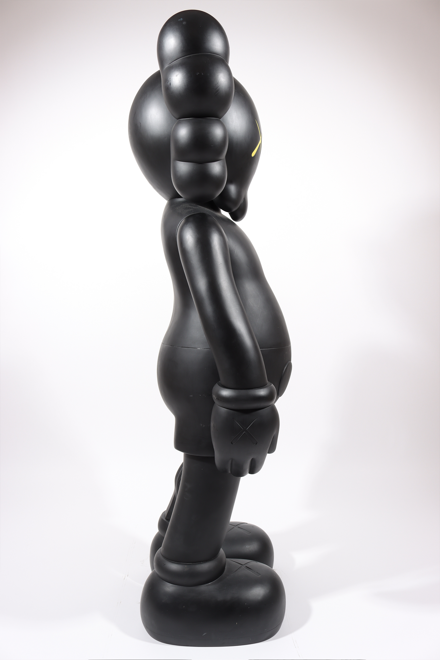 4 Foot Dissected Companion (Black)