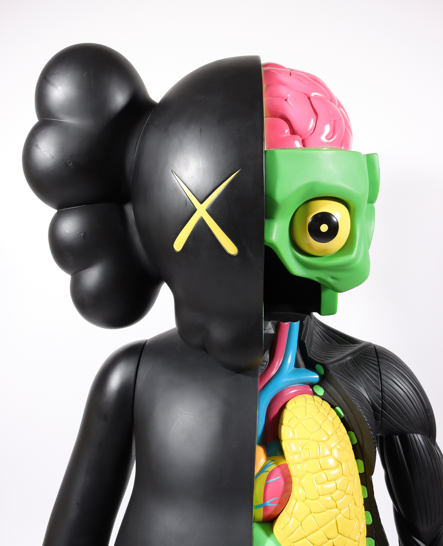 4 Foot Dissected Companion (Black)