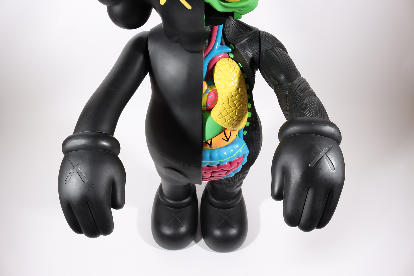 4 Foot Dissected Companion (Black)