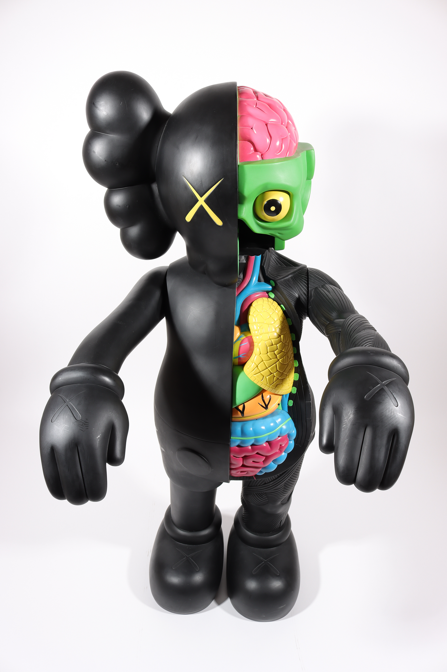 4 Foot Dissected Companion (Black)