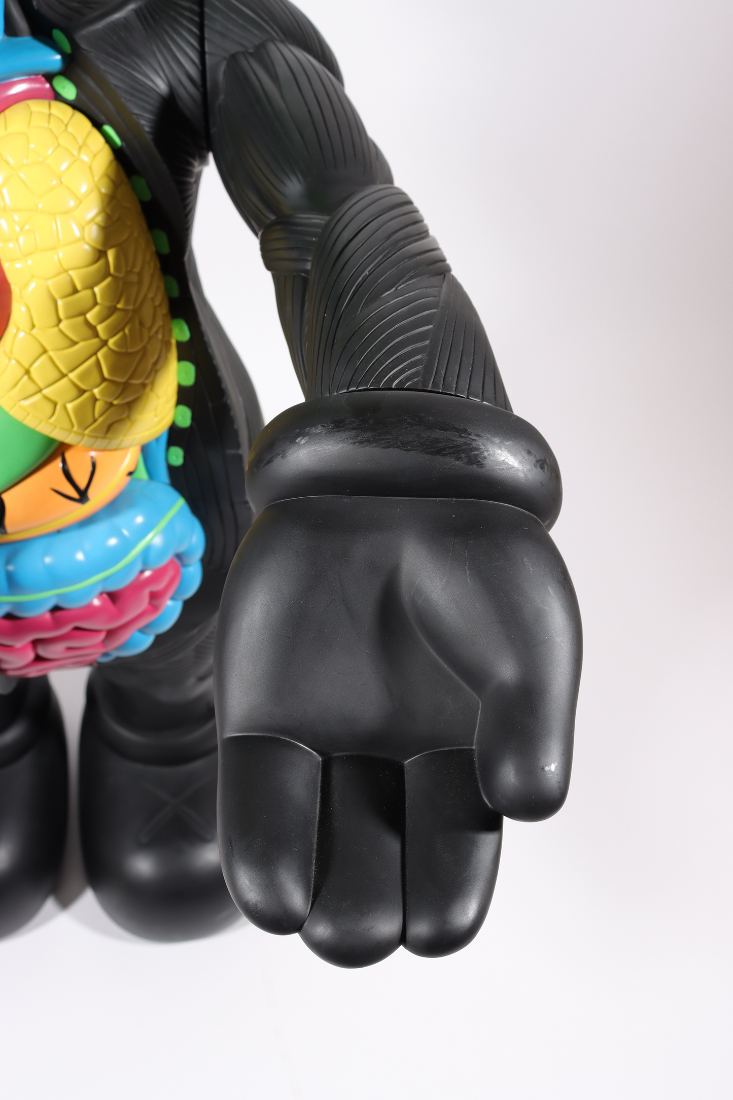 4 Foot Dissected Companion (Black)