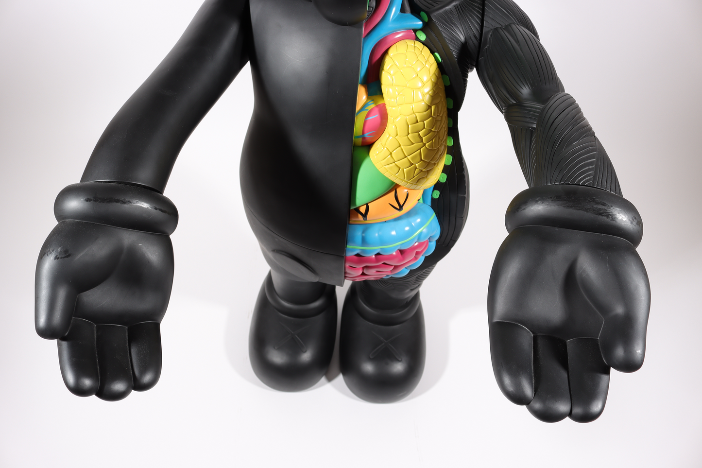 4 Foot Dissected Companion (Black)