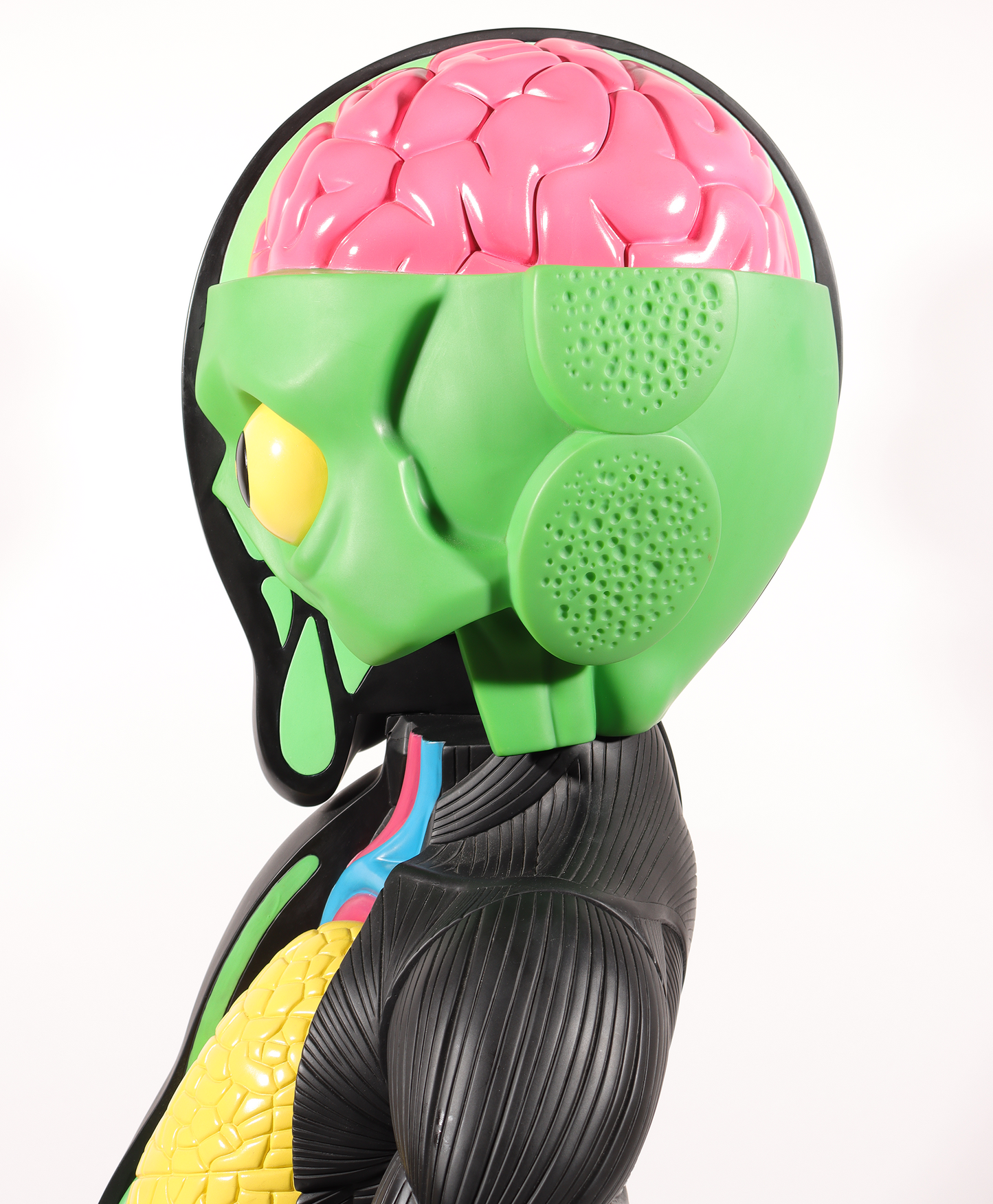 4 Foot Dissected Companion (Black)