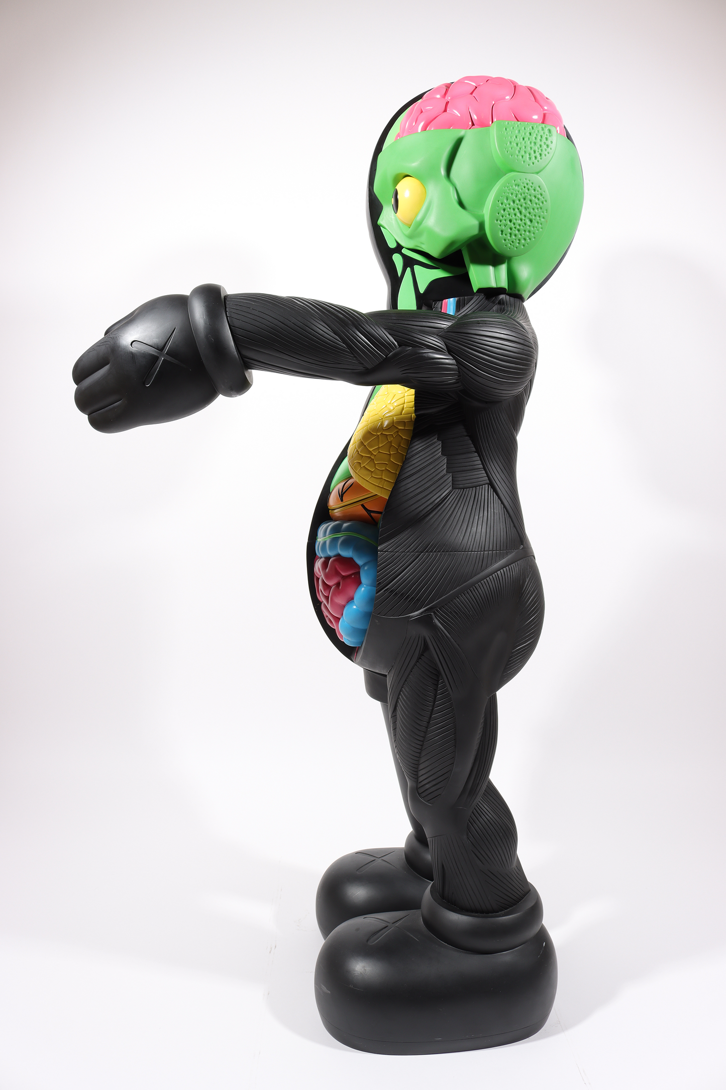 4 Foot Dissected Companion (Black)