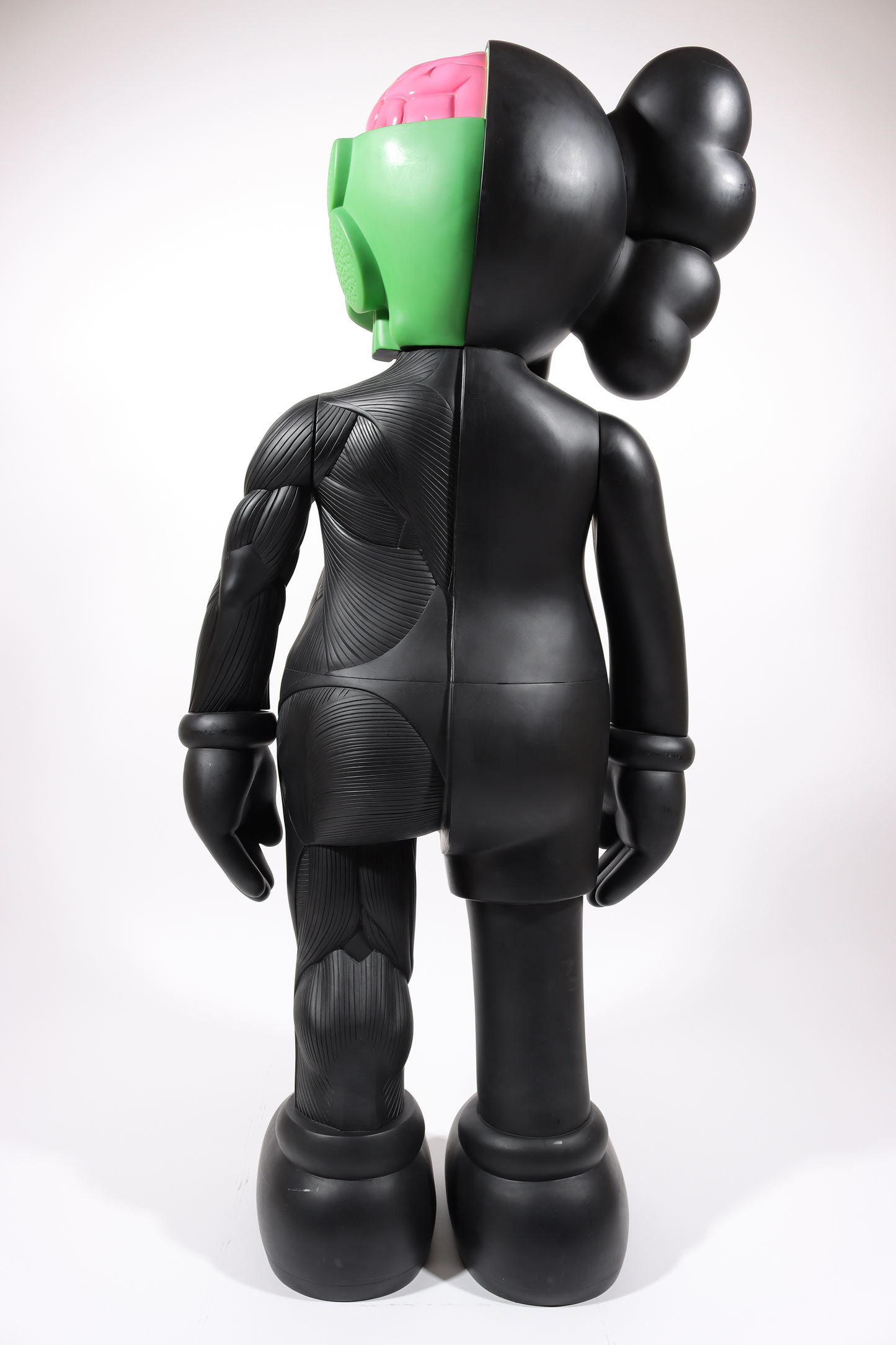 4 Foot Dissected Companion (Black)