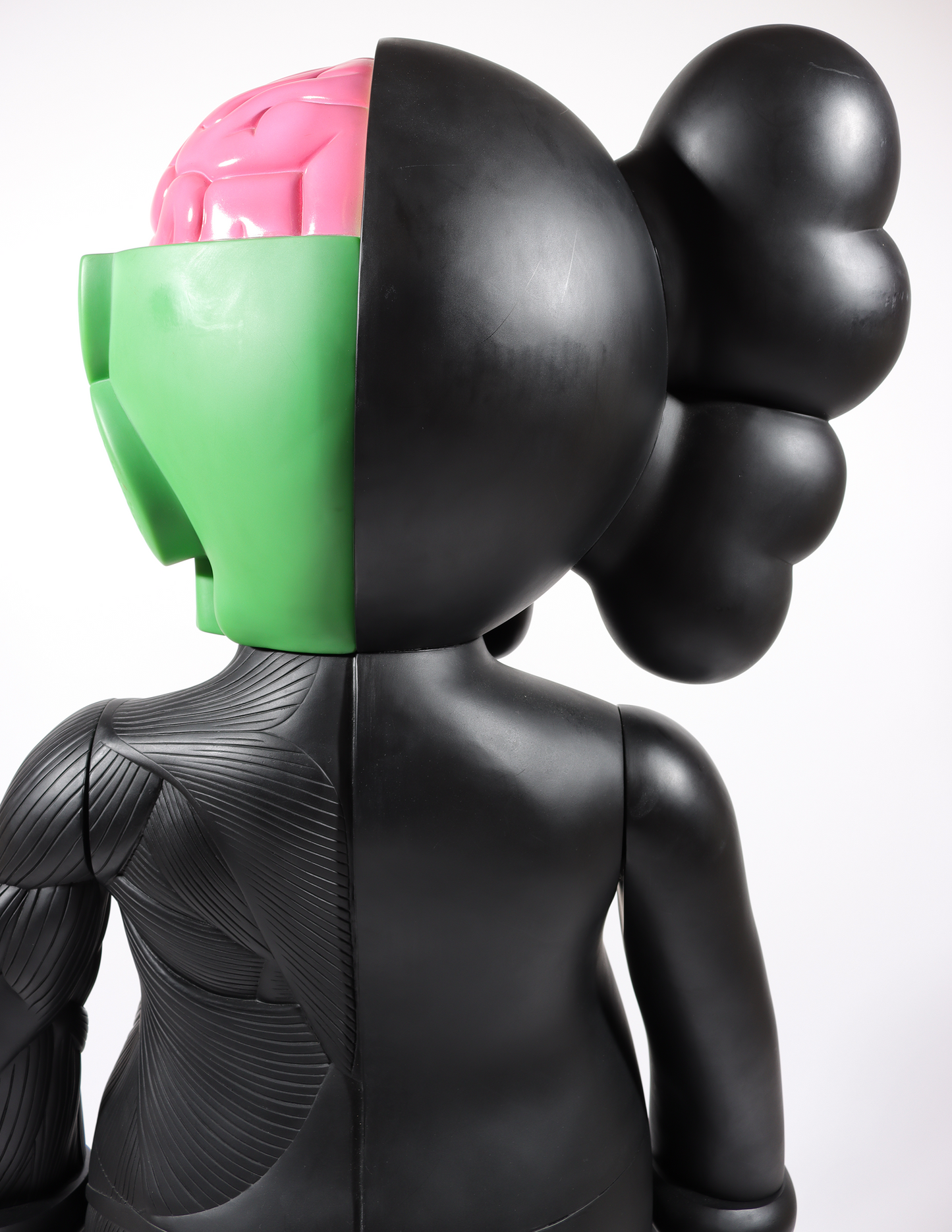 4 Foot Dissected Companion (Black)