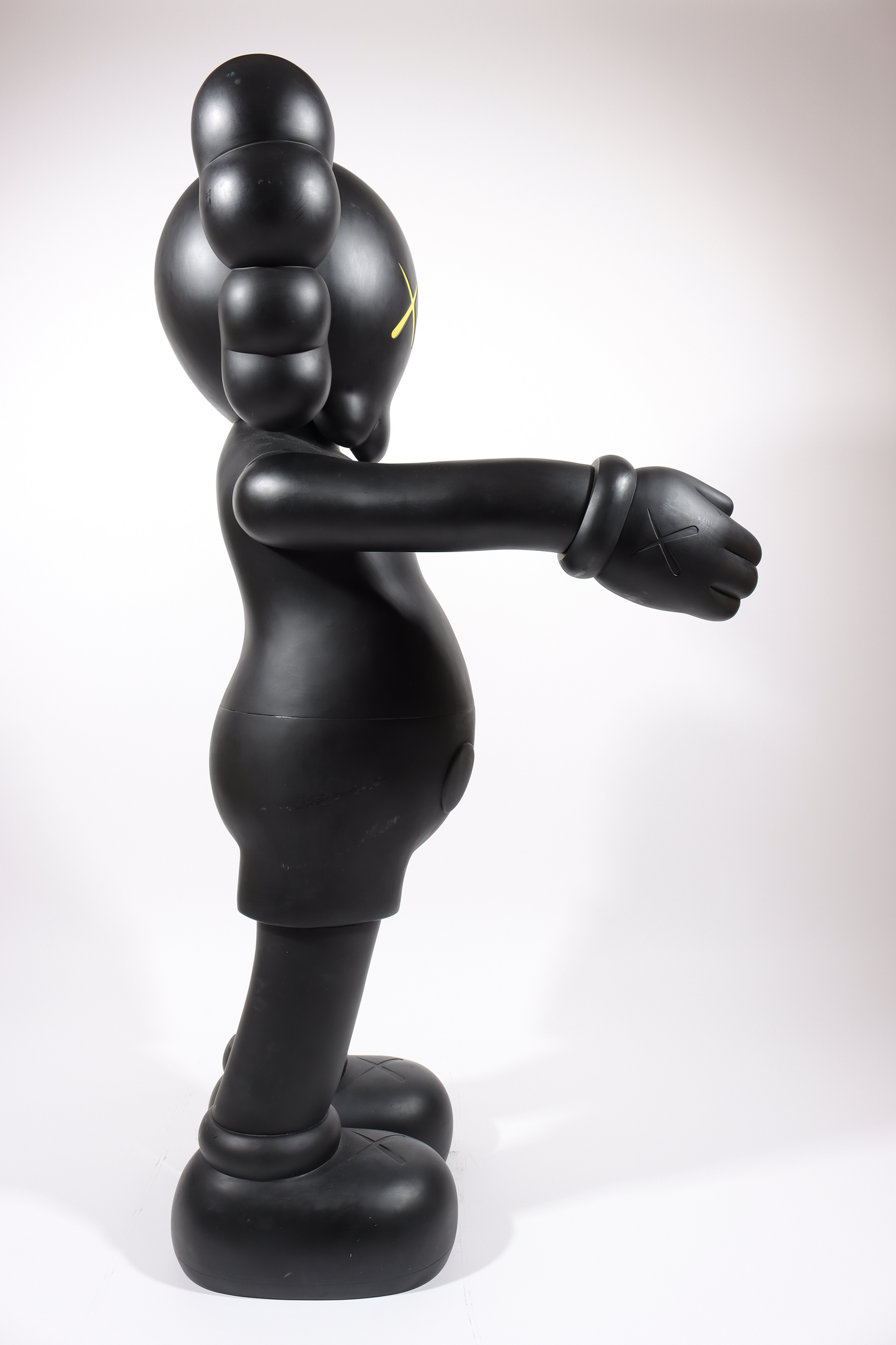 4 Foot Dissected Companion (Black)