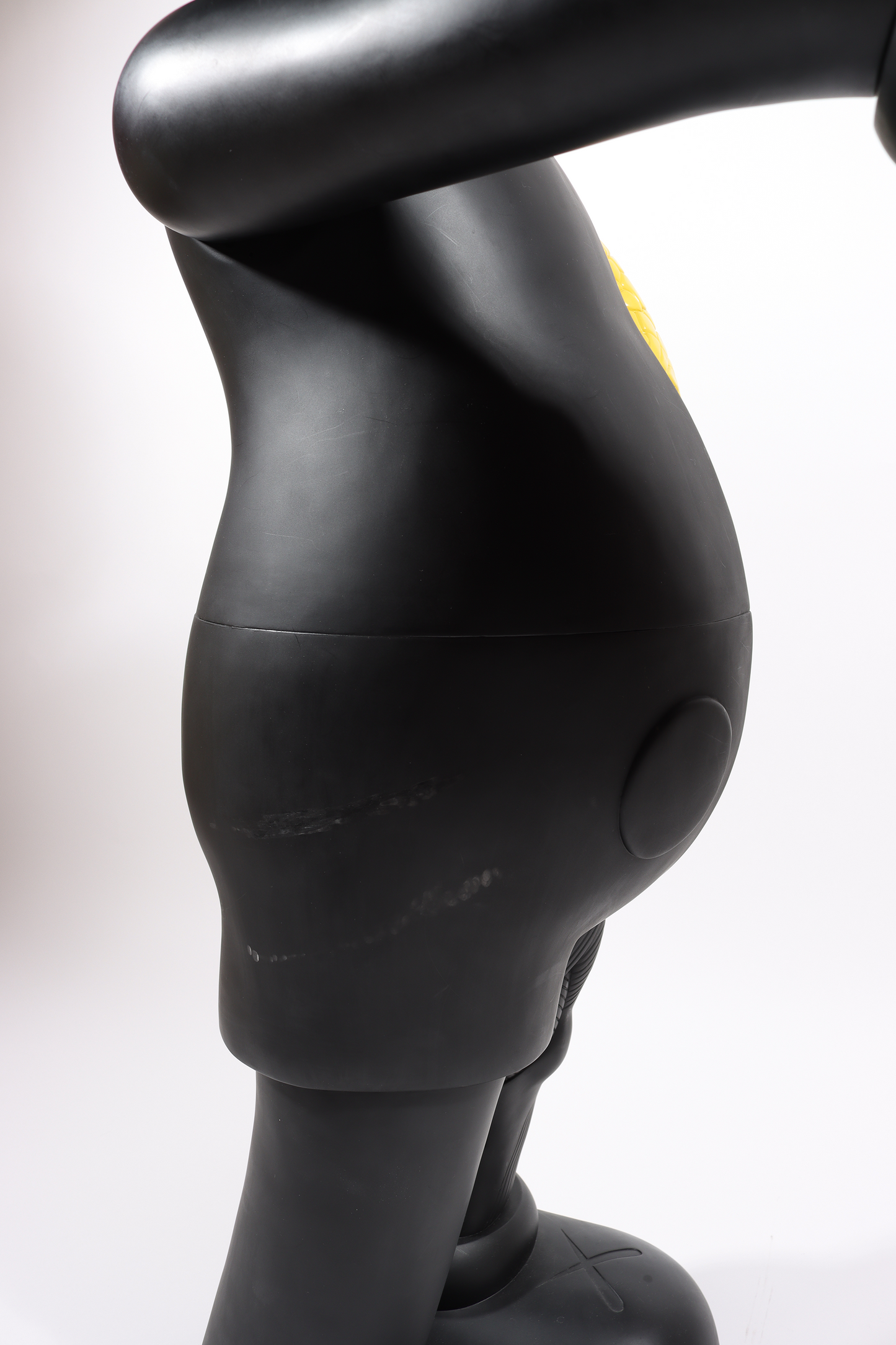 4 Foot Dissected Companion (Black)