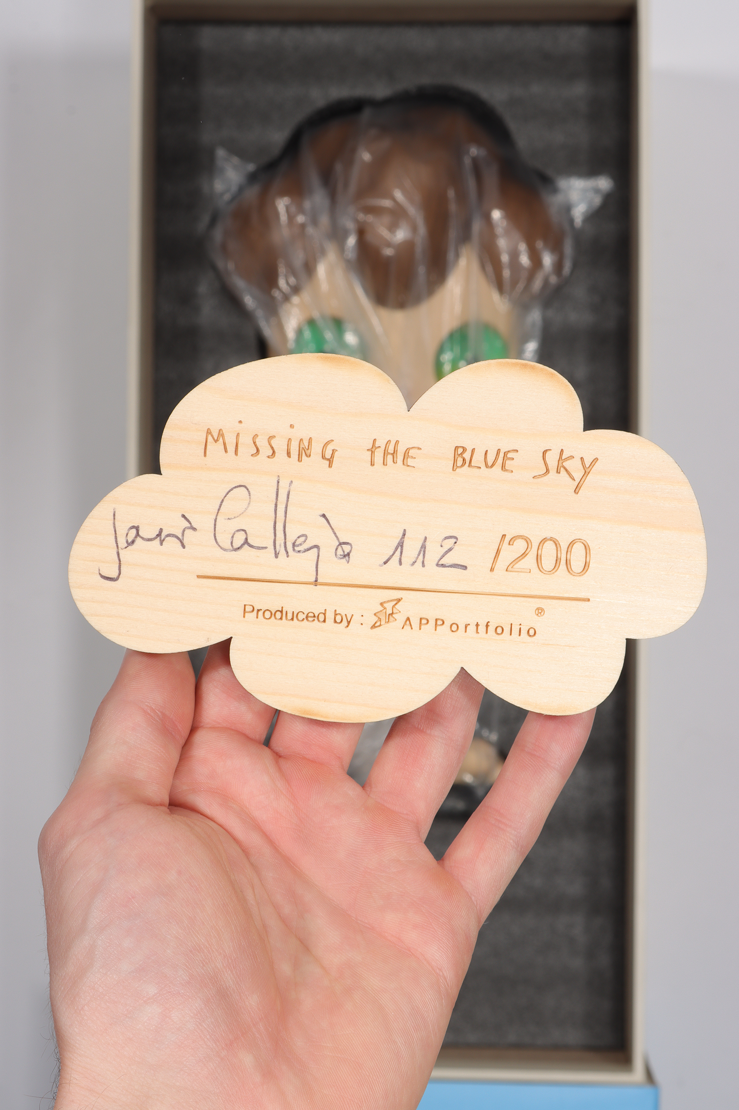 Missing The Blue Sky (2019)