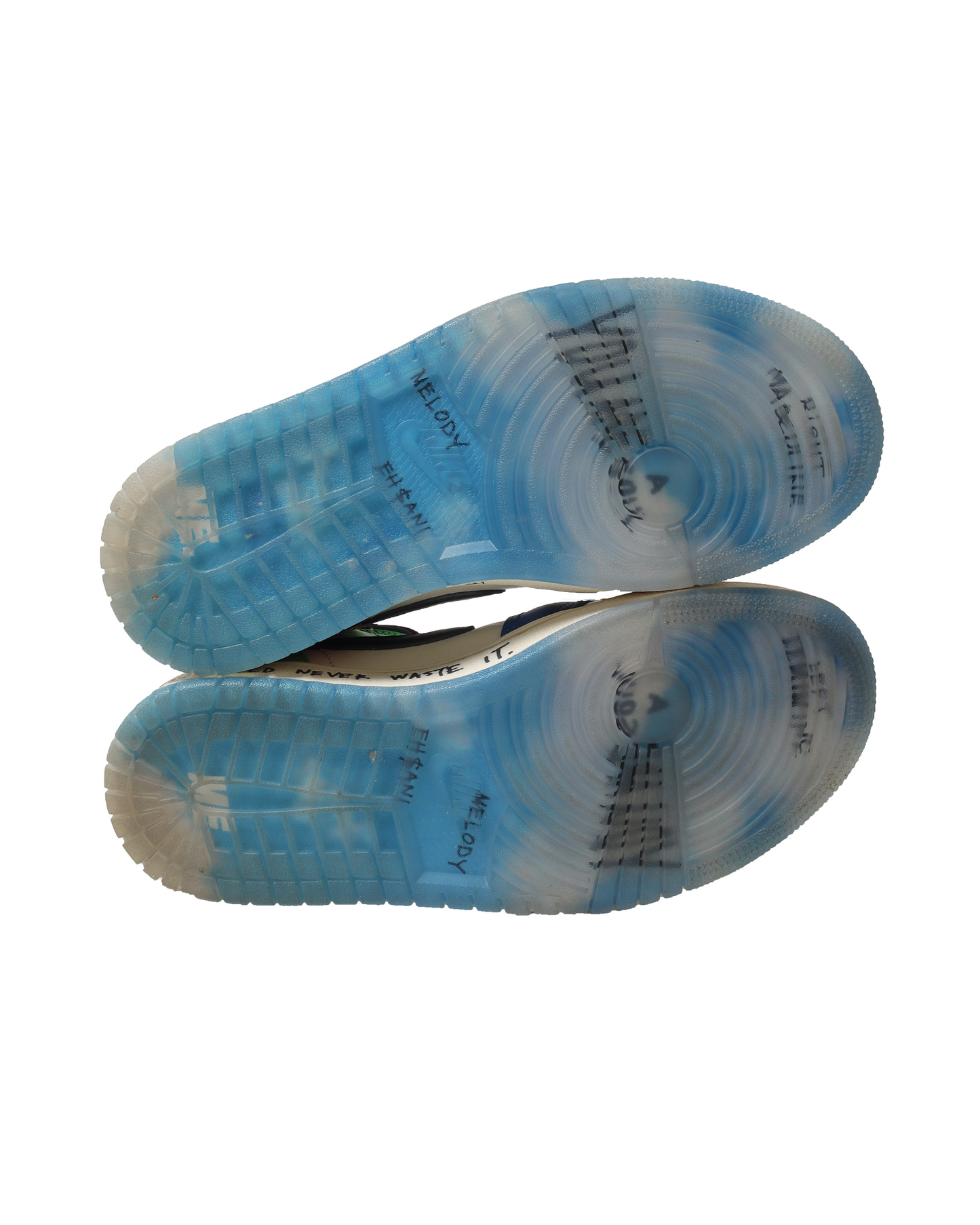 Melody Ehsani AJ1 Exclusive