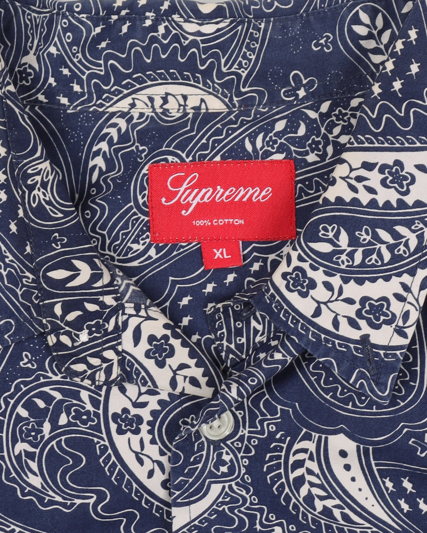 Paisley Button-Down Shirt