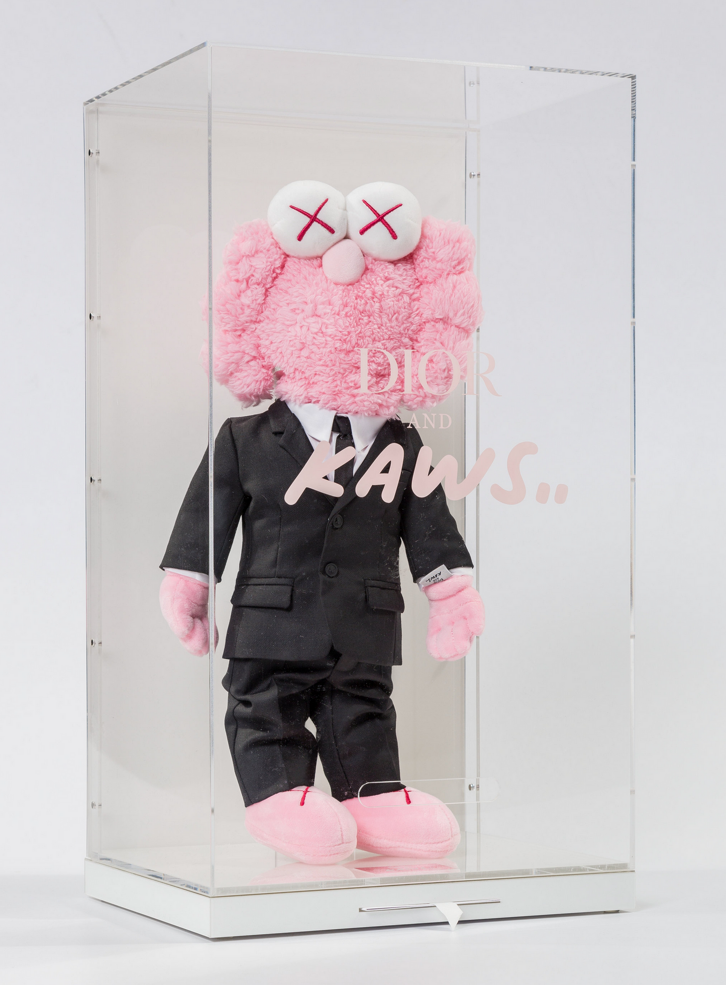 DIOR BFF Pink Plush