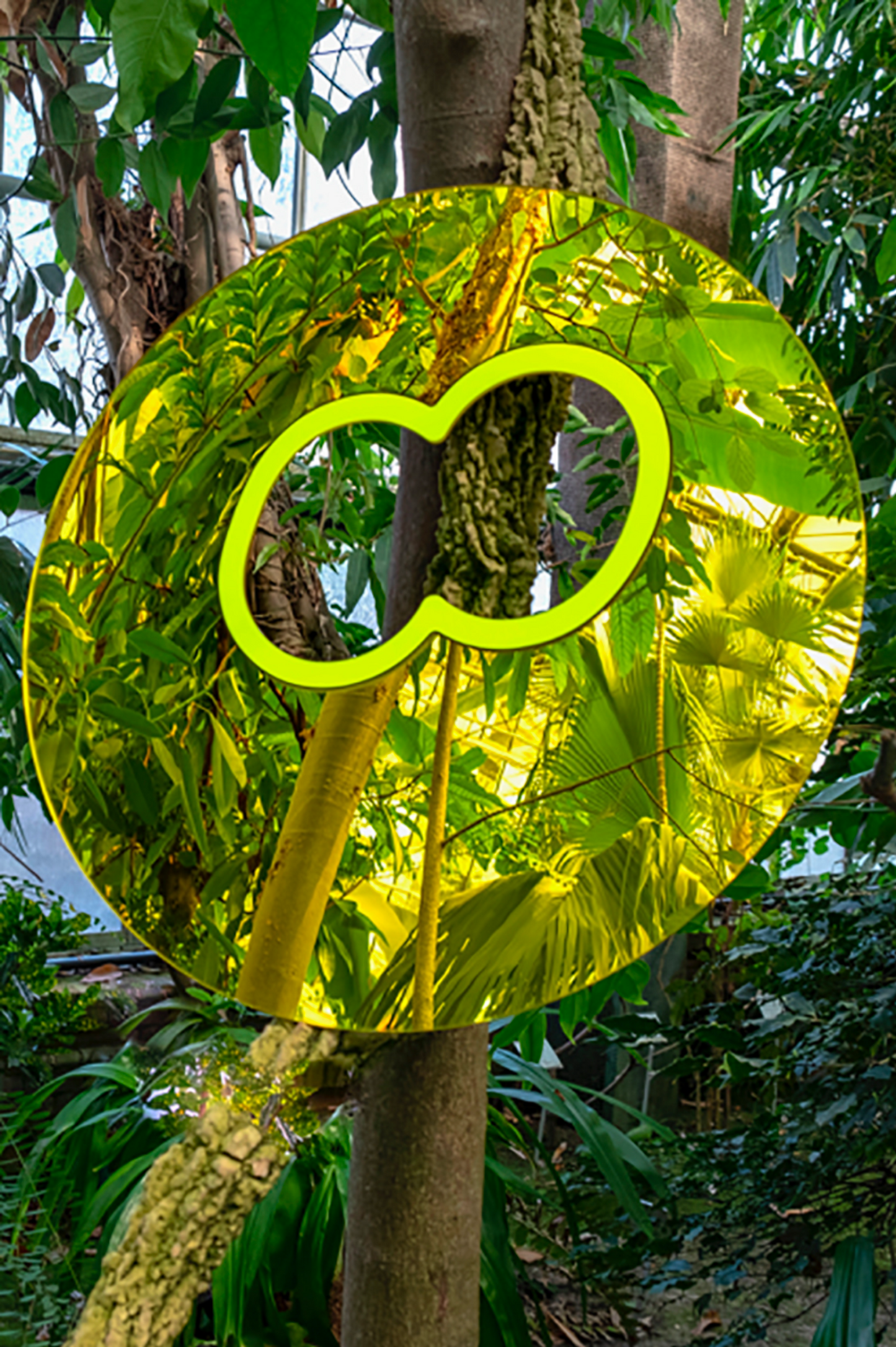 "Mr.Sunshine" Mirror