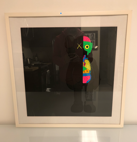 Dissected Companion (Black) Print , 2006