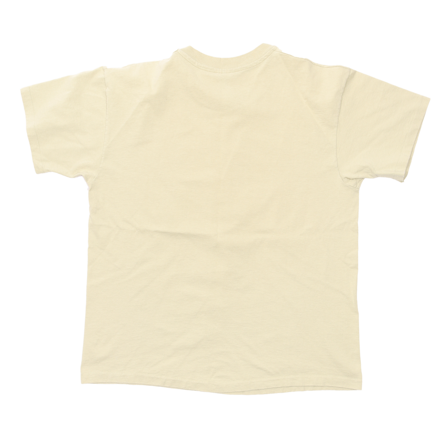 Nirvana Incesticide T-Shirt