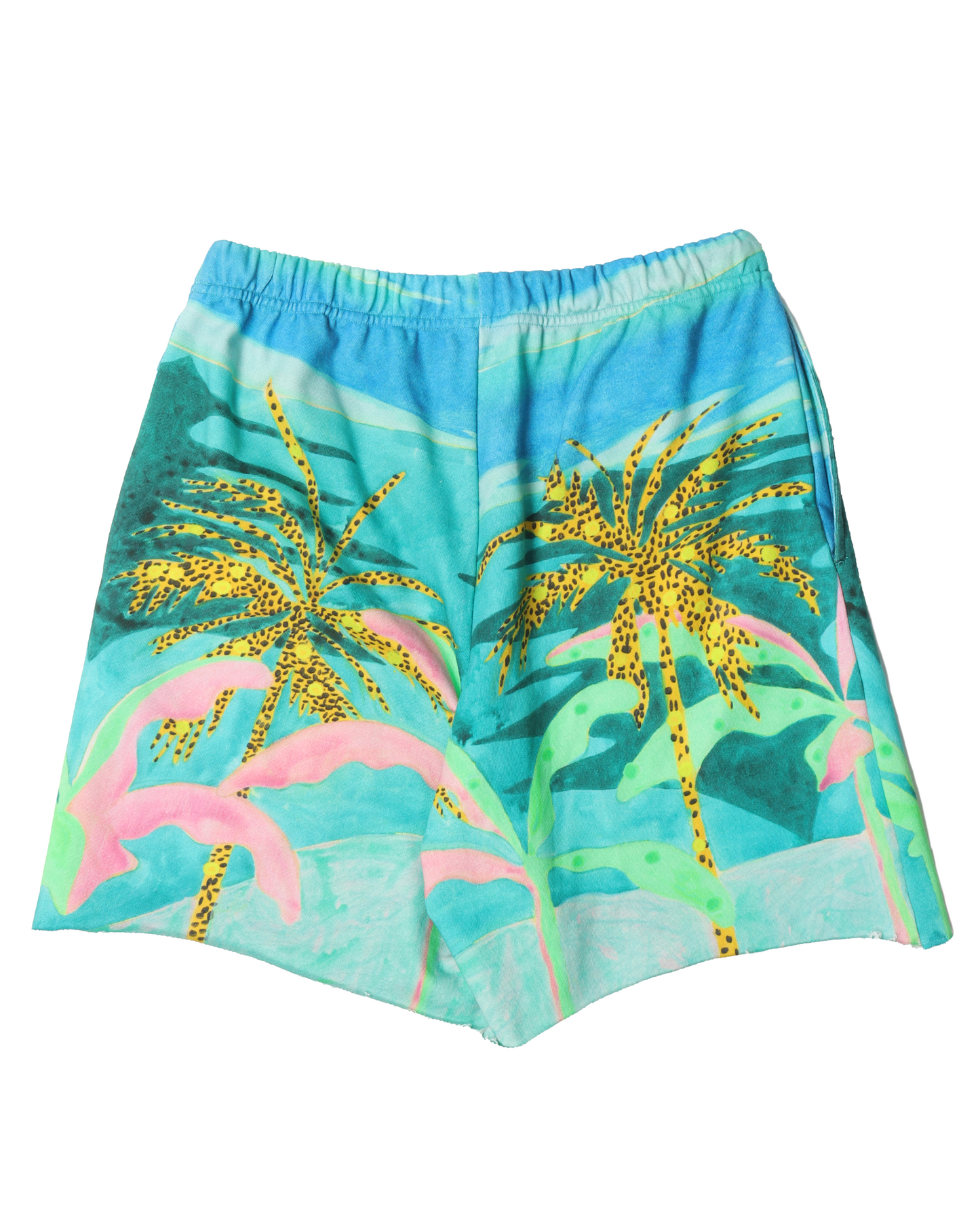 Print Cotton Shorts