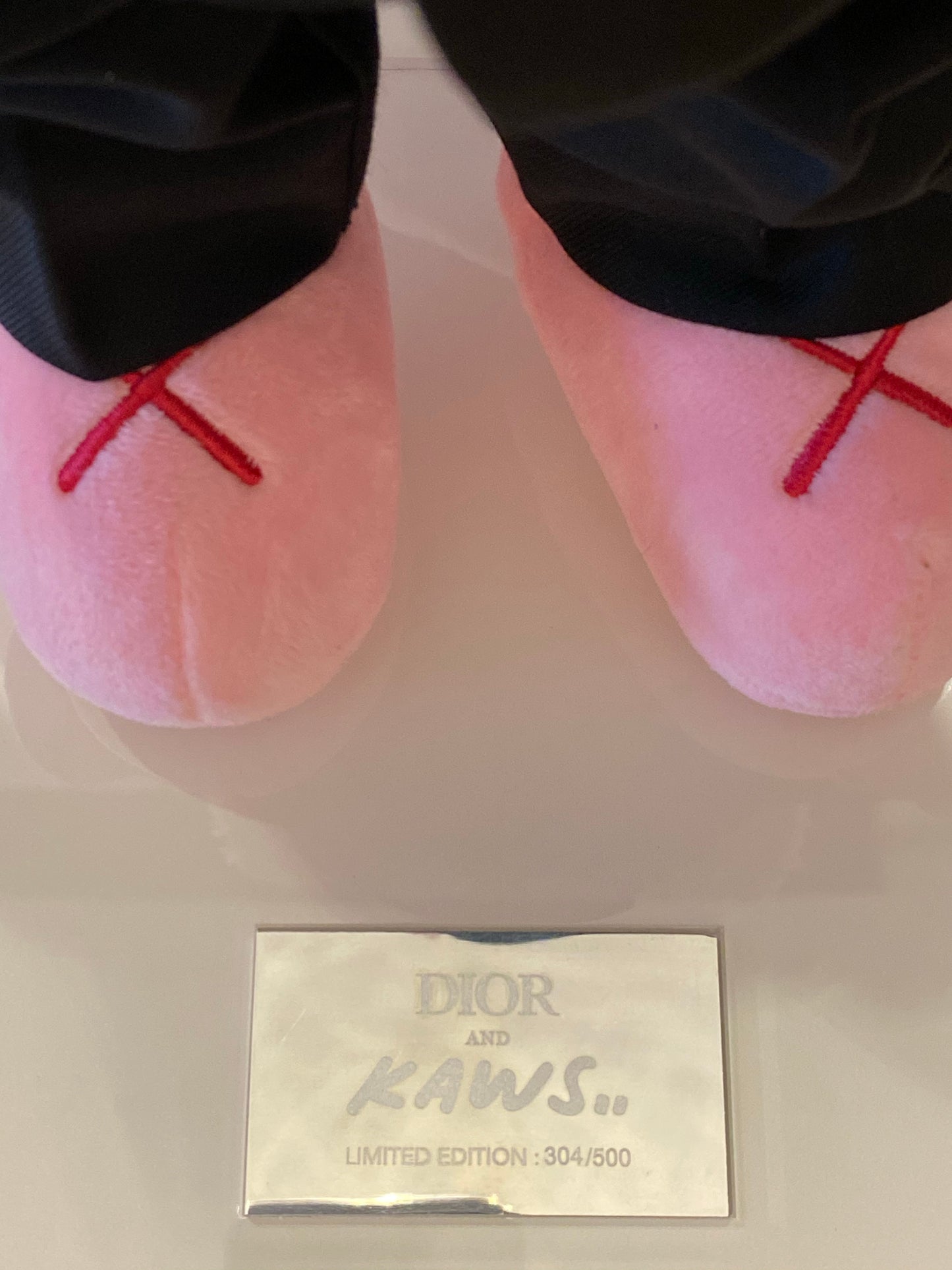 DIOR BFF Pink Plush