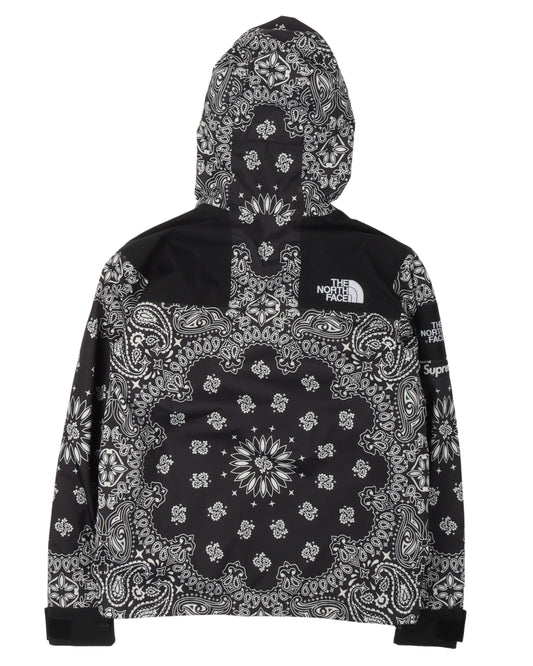 FW14 The North Face Paisley Mountain Parka
