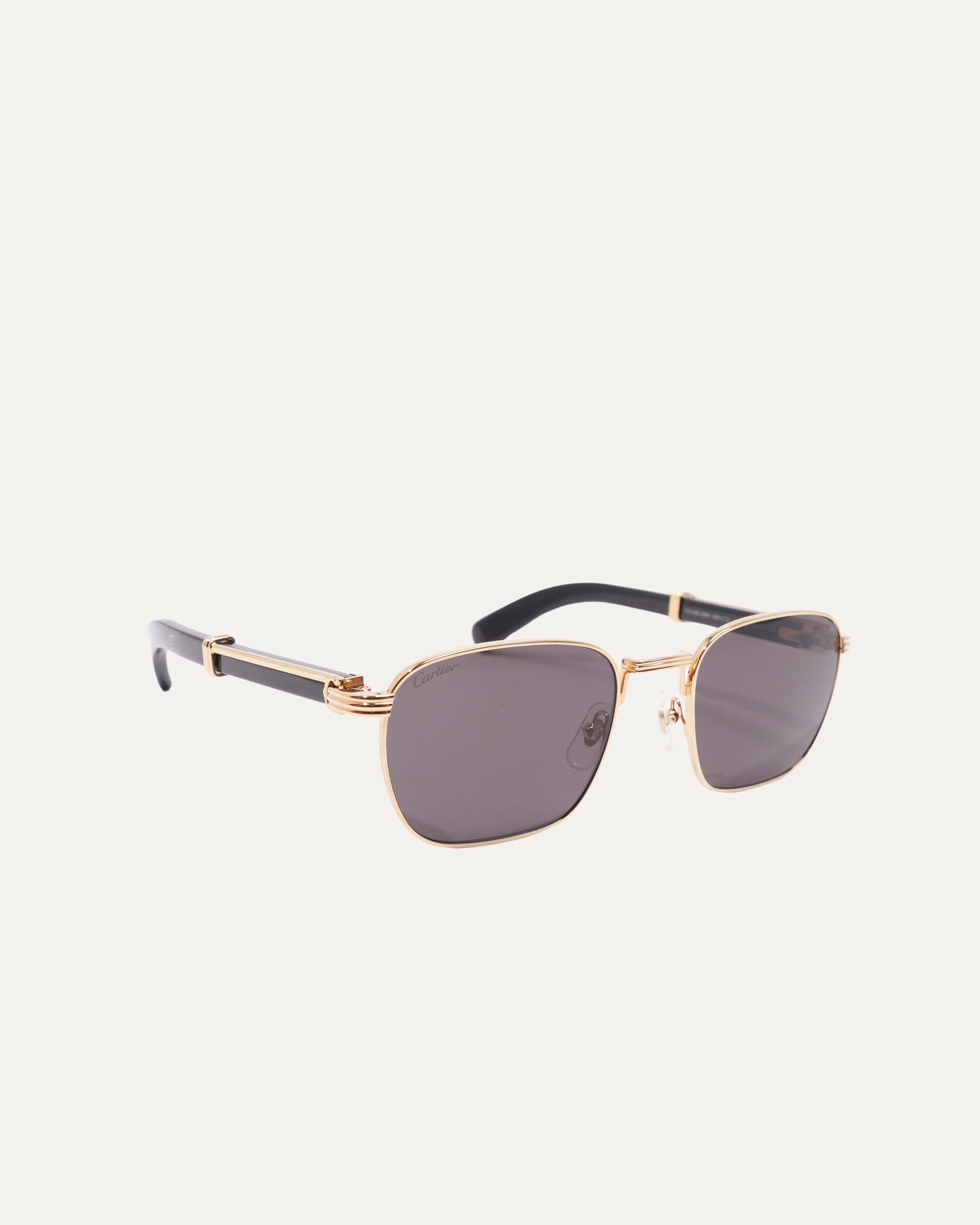 Buffalo Horn CT0363S Sunglasses