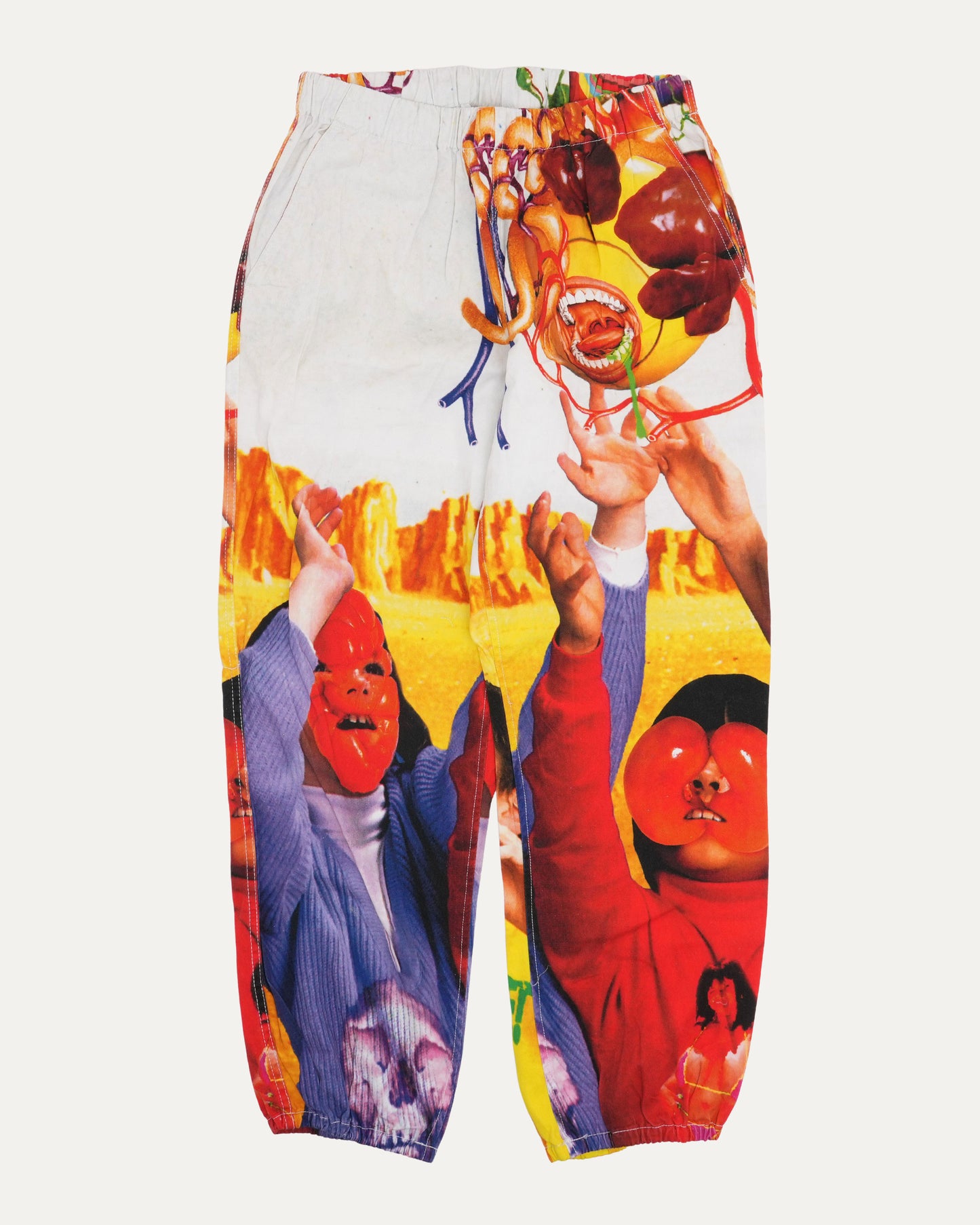 Sekintani La Norihiro Skate Pants