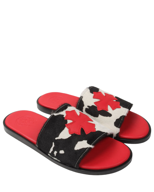 Cross Patch Cow Slides
