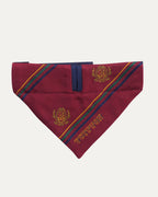 Dog Bandana PM