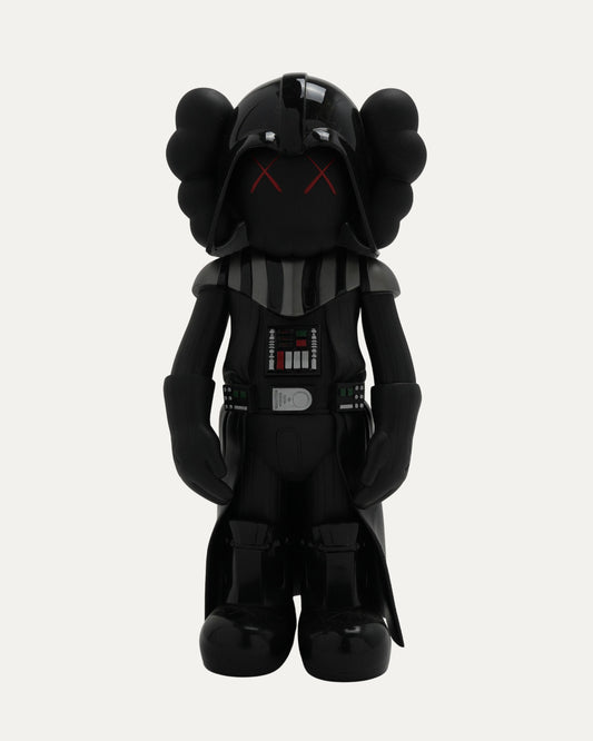 Star Wars Darth Vader Companion