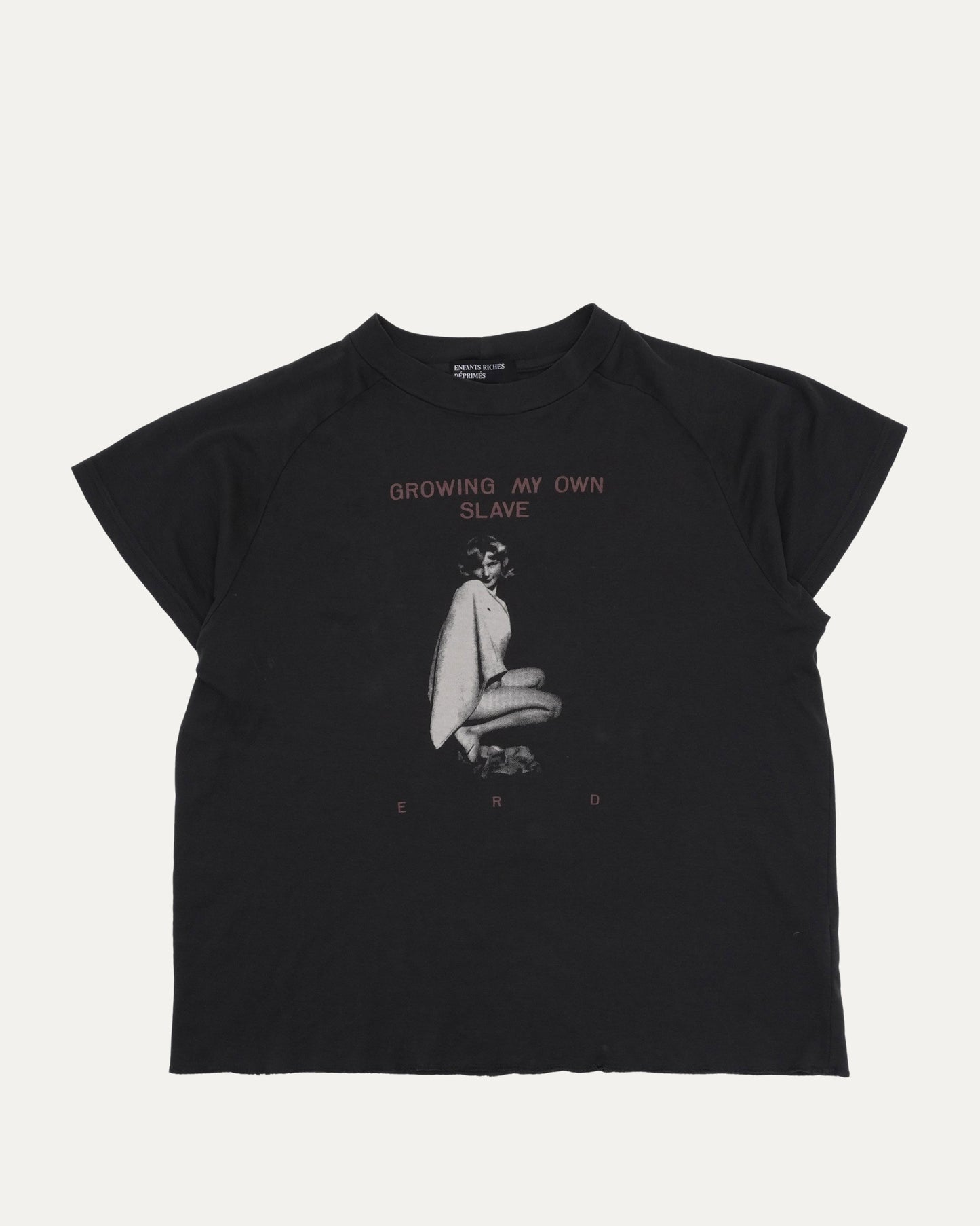 My Own Slave Raglan T-Shirt
