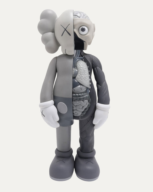 Companion Dissected 2006 Edition