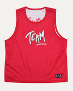Matty Boy Form Stadium Reversible Mesh Jersey