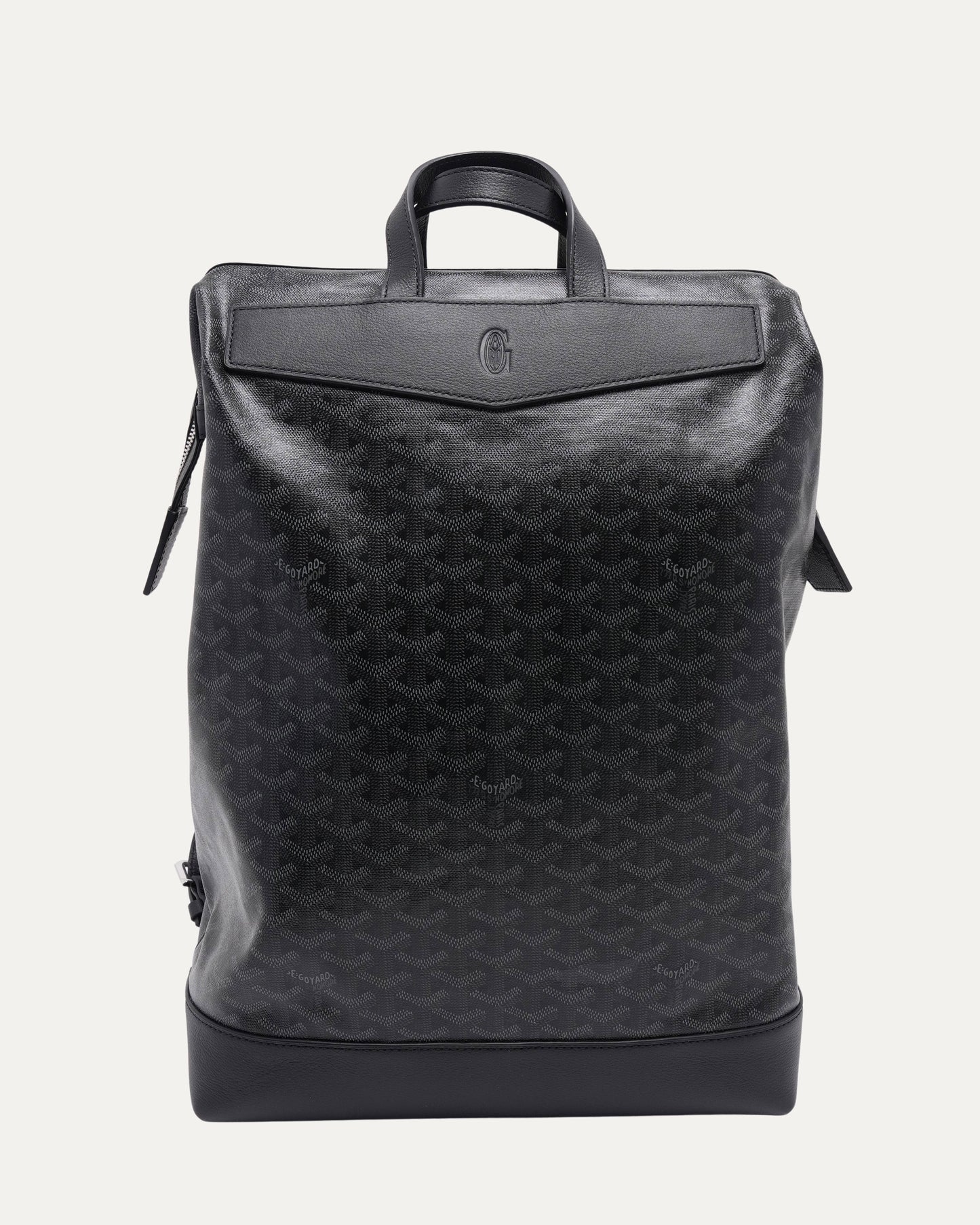 Cisalpin Backpack