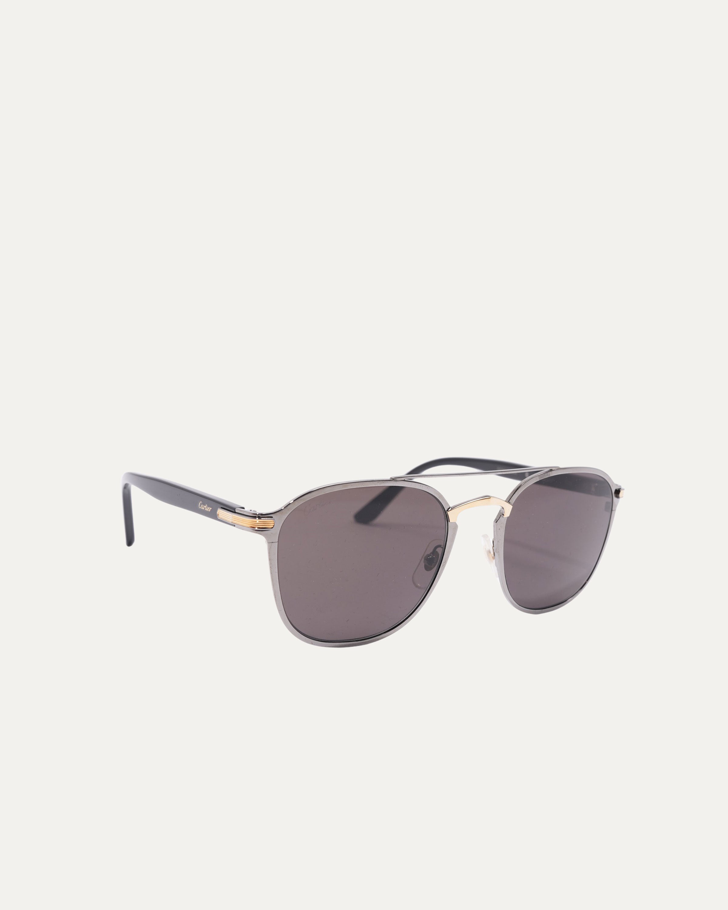 CT0012S Sunglasses