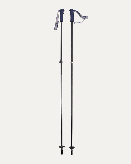 Ski Poles