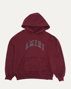 College Logo Hoodie
