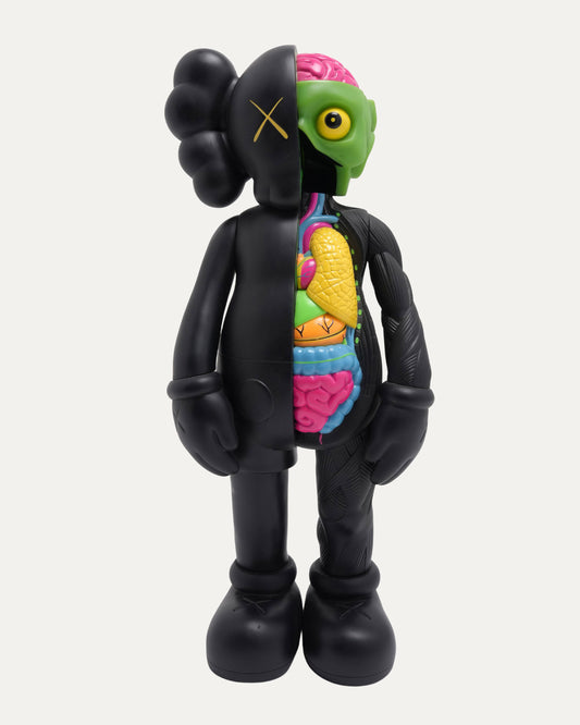 Companion Dissected 2006 Edition