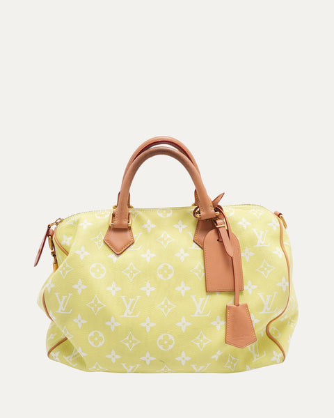 Louis Vuitton Speedy P9 Bandoulière 40 – Justin Reed