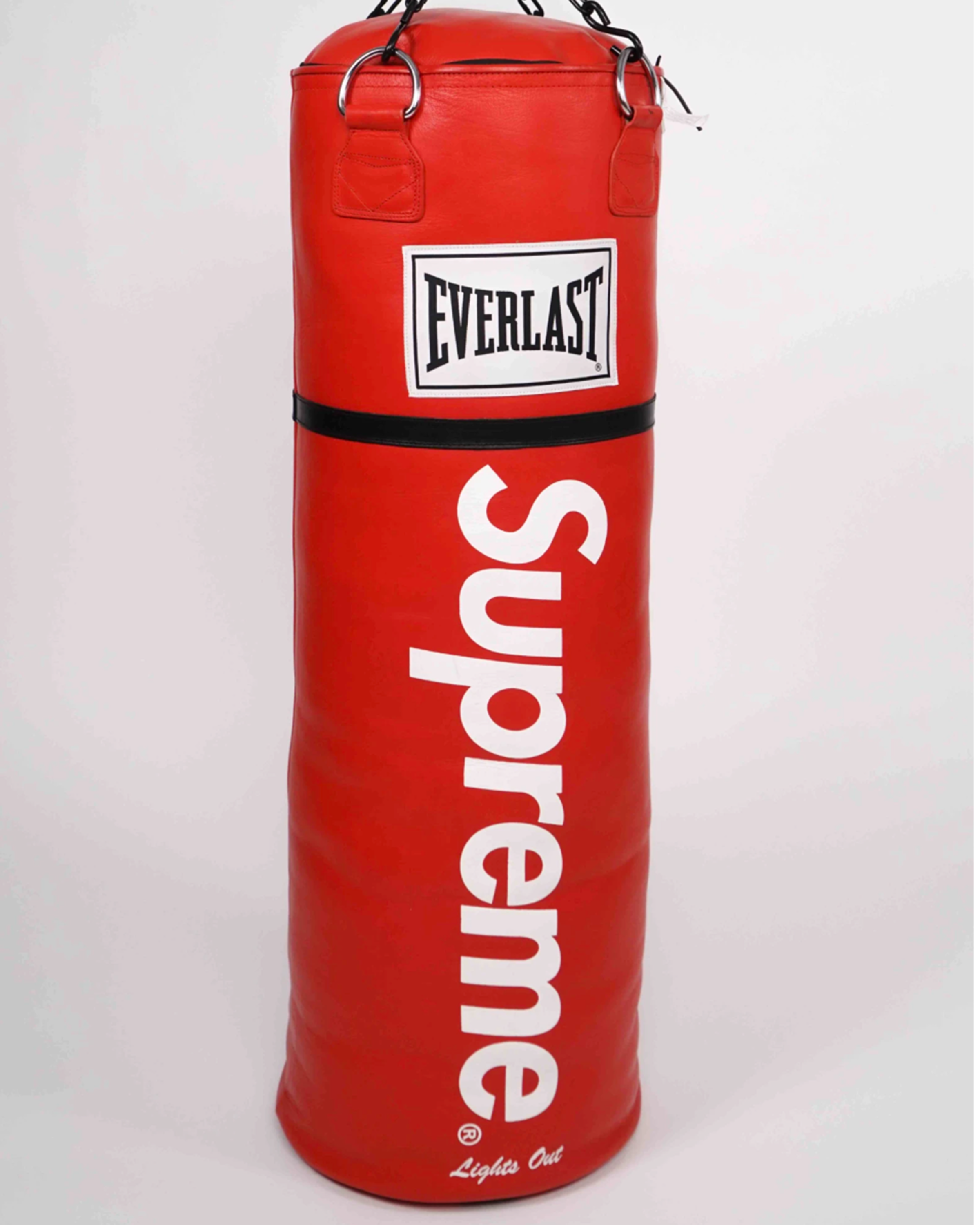 Everlast Leather Heavy Punching Bag (SS16)