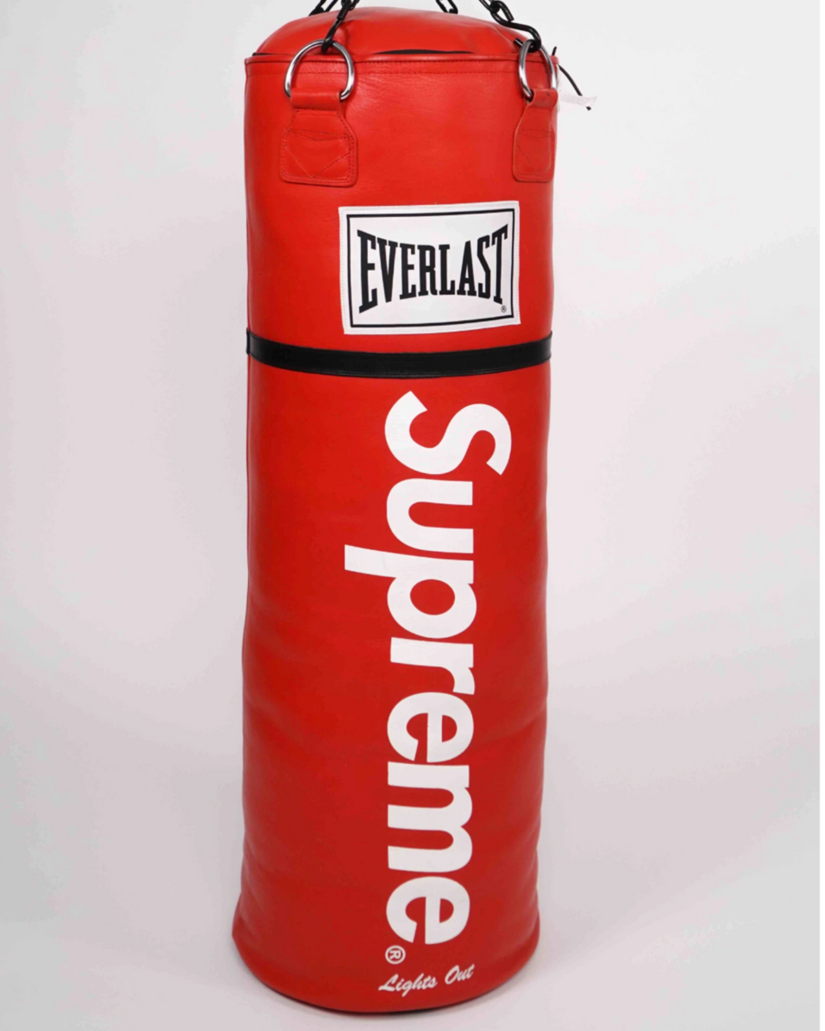 Everlast Leather Heavy Punching Bag (SS16)