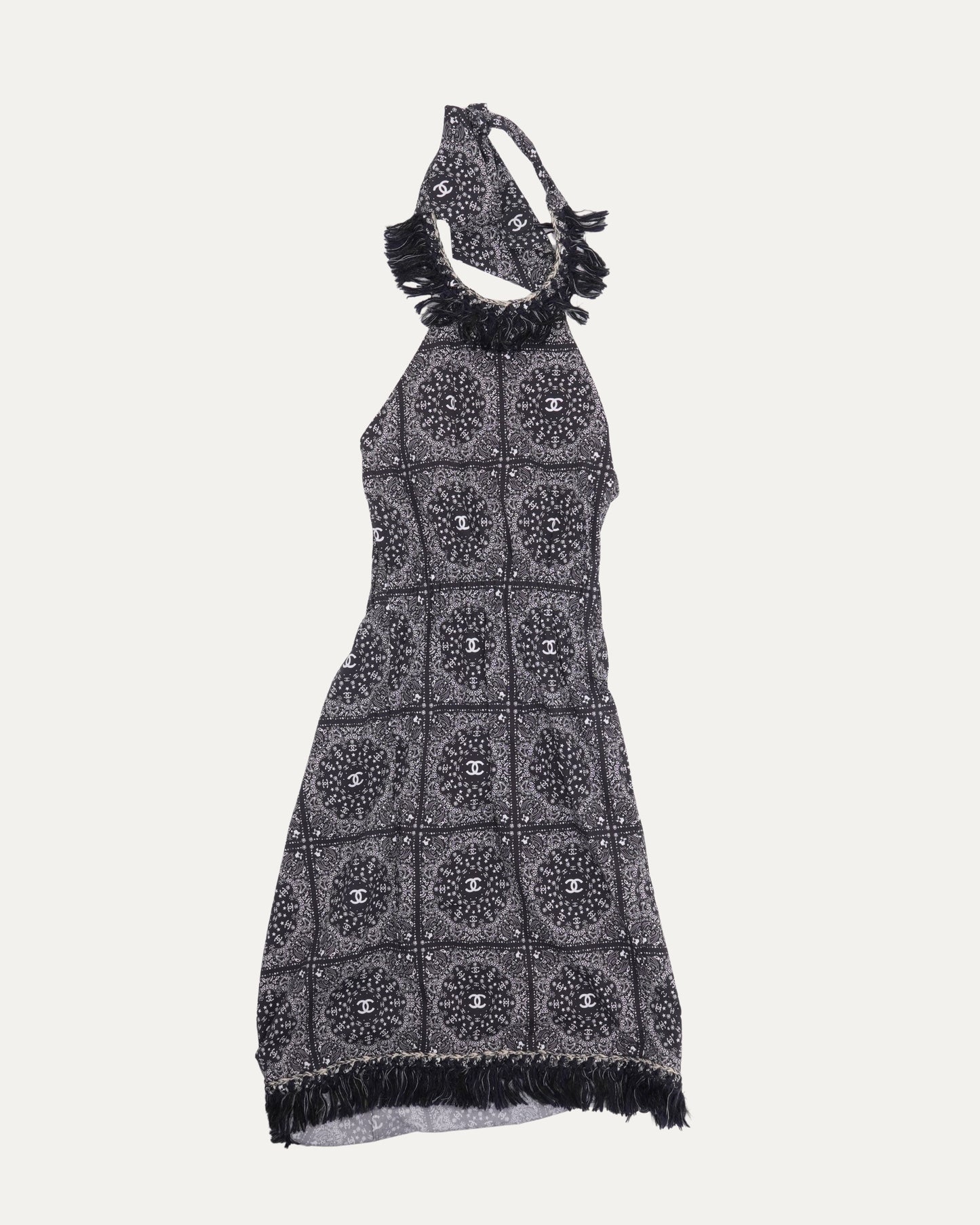 Paisley Print Dress